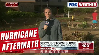 Damage Left Behind In Hawaii After Hurricane Lowell Makes Rare Direct Hit