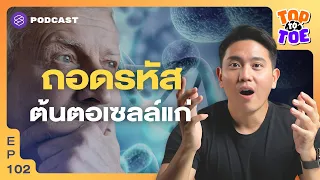 เซลล์ซอมบี้คืออะไร และมันทำให้ร่างกายแก่ได้อย่างไร