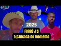 Download Lagu CD TOP 2025 FORRÒ JS