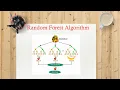 Random Forest Classifier Machine Learning
