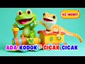 Lagu Cicak Cicak di Dinding - Ada Kodok Rekotok - Naik Kereta Api \u0026 Lagu Anak Indonesia Balita TK PAUD
