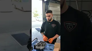                                                    دندنها