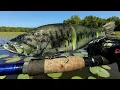 Download Lagu Fishing a Bass Lure for RIVER MONSTERS!