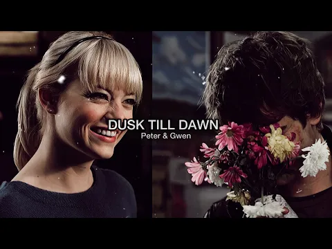 Download MP3 Peter \u0026 Gwen || Dusk Till Dawn