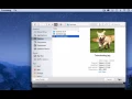 Loading an Image in Processing
