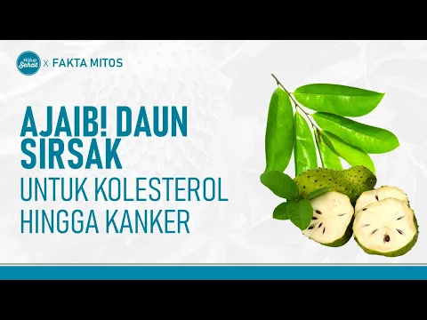 Daun Sirsak, Kenali Kegunaannya Untuk Kesehatan