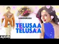 Telusaa Telusaa Full Song New Audio | "Sarrainodu" | Allu Arjun, Rakul Preet Singh, Catherine Tresa