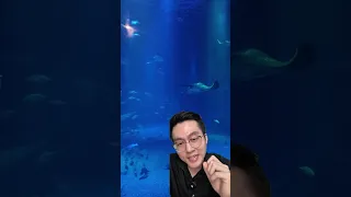 การตั้งอควาเรียมในห้องอาหารสามารถช่วยเพิ่มน้ำหนักให้ผู้ป่วยสมองเสื่อมได้อย่างไร