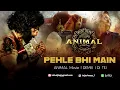 Lagu Pehle Bhi Main | Hip Hop Remix | Animal Movie | DJ TEJ