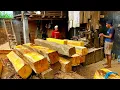A Flood of Fortune!! The Arrival of Decades-Old Jackfruit Logs Ready for Sawmilling 