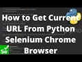Python Selenium Tutorial - How to Get Current URL From Python Selenium Chrome Browser