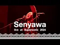 Lagu Senyawa live at Supersonic Festival 2024