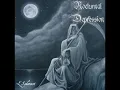 Nocturnal Depression - Seven Tears Are Flowing to the River (Nargaroth cover) (2013)