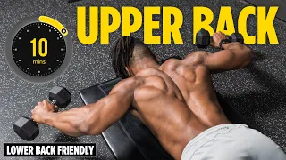 10-Min Lightweight Dumbbell Rear Delts + Upper Back | Lower Back Friendly