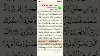 حفظ و تكرار سورة البقرة صفحة 45 10 مرات الشيخ ماهر المعيقلي 