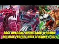 Lagu Rose Dragons, Infinitrack, \u0026 Combo - Yu-Gi-Oh! OCG Deck Profiles Week Of March 4, 2021