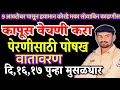 Download Lagu 9 ऑक्टोबरपासून कोरडे हवामान | कापूस वेचणी करा | 16-17 पुन्हा मुसळधार | तोडकर हवामान अंदाज