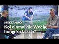 Lagu Ist eine Futterpause bei Koi wirklich sinnvoll ? | Modern Koi Blog #7924