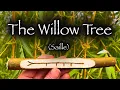 Download Lagu Willow | The Folklore, Mythology and Symbolism of the Willow Tree (Sail)