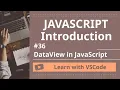 Learn with VSCode JavaScript for Beginners DataView in JavaScript
