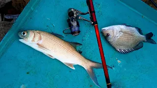 mancing pakai joran ini amis terus