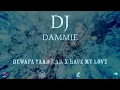 Bewafa Yaad Kar x Have My Love | Naseebo Lal | DJ Dammie | 2025 Remix | Punjabi Remix | House Remix