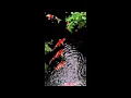Download Lagu MAHALUL QIYAM  مَحَلُّ القِيَامِ