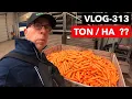 Lagu FARMVLOG #313 winterpeen koelen, spoelen, tarreren