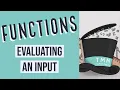 Functions Evaluating an Input