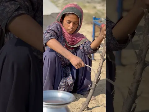 desert life in Pakistan #traditional #villagelife #india #rajasthan #desert #cholistan