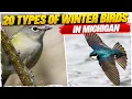 20 Types of Winter Birds in Michigan with Pictures