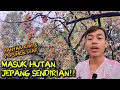 Download Lagu BANYAK KIWI DAN PERSIMON LIAR DI HUTAN JEPANG! VLOG SENDIRIAN KE HUTAN JEPANG