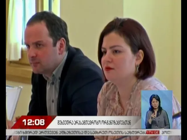 ანა ნაცვლიშვილმა სასამართლოს კრიზისიდან გამოყვანის საჭიროებები განიხილა