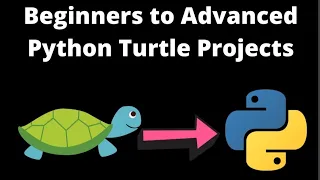 Python Turtle Graphics Project