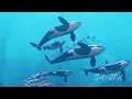 FRECUENCIA CETÁCEA • SANACIÓN CUÁNTICA ESPIRITUAL 🐋 Canto de BALLENAS y DELFINES 741 Hz