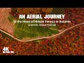 Lagu Hirkani Forest Nothen Of IRAN 4k Cinematic Drone Footage