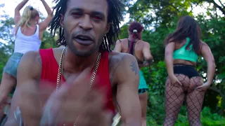 insideeus despicaple whine official video 