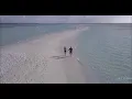 Frank Sinatra - Summer Wind HD (lyrics)