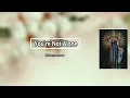 Siamese - You're Not Alone (Lyrics)