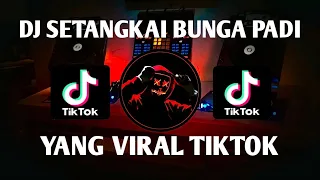 dj setangkai bunga padi remix viral tiktok terbaru full bass