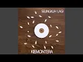 Download Lagu Selingkuh Lagi Low Version