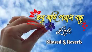 Download তবু যদি পরান বন্ধু আমার পানে চায় | Dhar Dharina Para Porshi [Slowed \u0026 Reverb] | Viral Song MP3