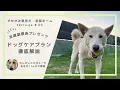 Download Lagu 【友蔵副寮長の初仕事？！】老犬老猫ホームterra-pa ドッグケアプラン紹介＆最新テラパニュース