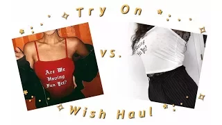 Aesthetic Wish Try On Haul IS IT WORTH IT