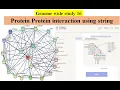 Genome wide study Part 16 Protein Protein interaction PPI network using STRING database