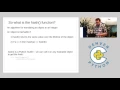 The Python Dictionary Object -