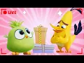 π΄ LIVE Angry Birds | September Monthly Mega Mix π