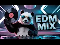 Lagu Best EDM 2025 🎶 Electro House Remixes \u0026 Popular Mashups