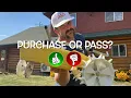 In-Depth Review Demo of the Nelson Rain Train Traveling Tractor Sprinkler