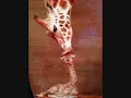 Rhye "3 Days"